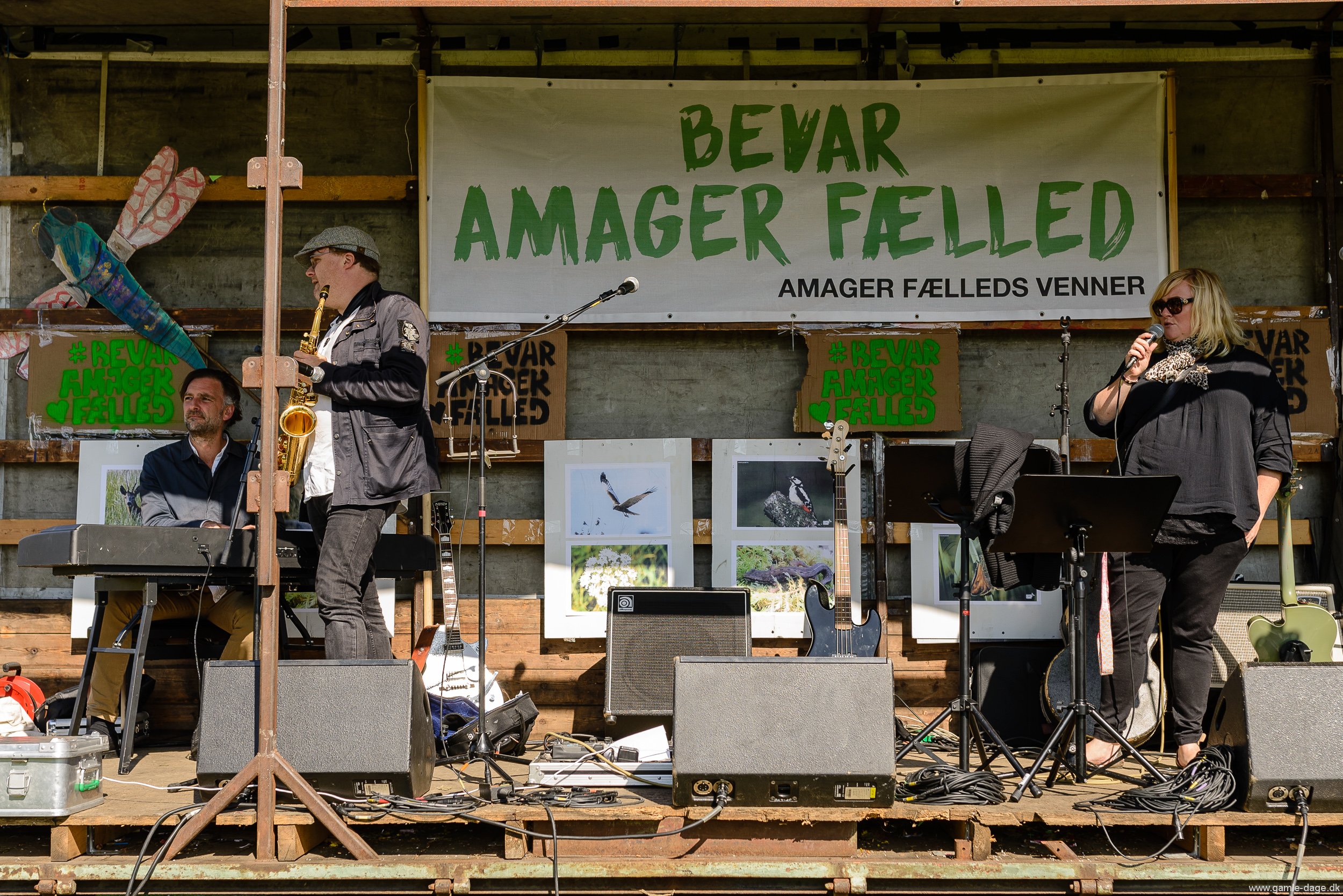 amager-faelled-festival-7