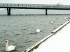 amager-i-snevejr-36