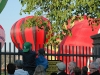 Balloner over Rosenborg