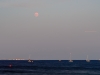 blodmaane-paa-stranden-21
