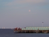 blodmaane-paa-stranden-22