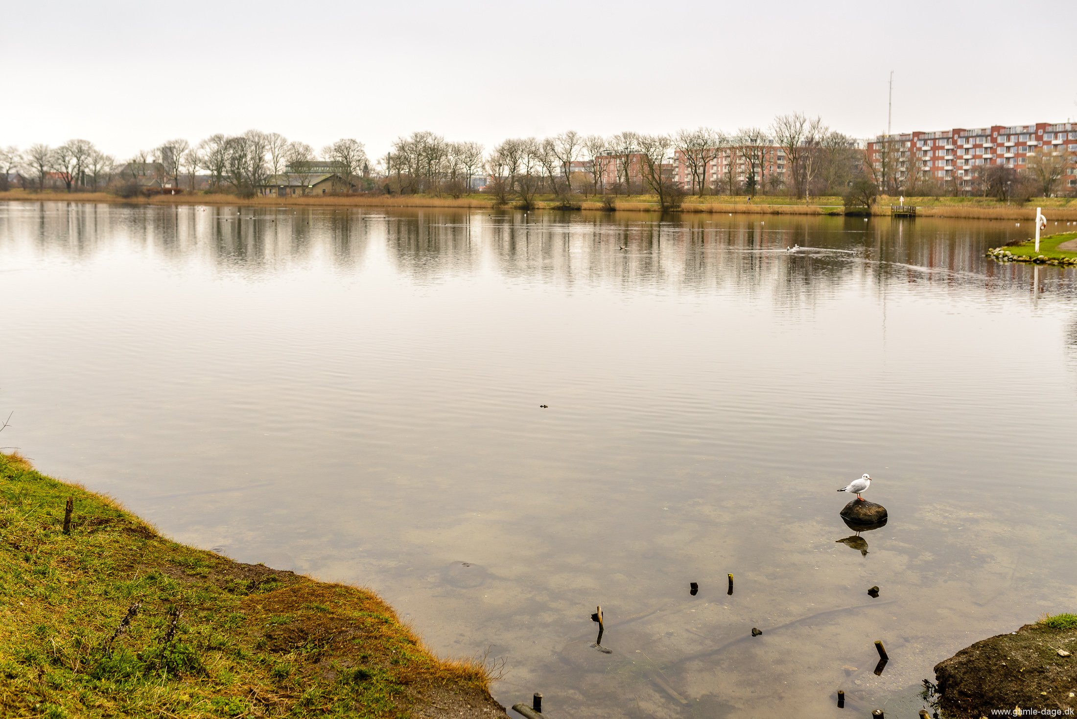 christianshavns-vold-til-enden-af-refshalevej-6