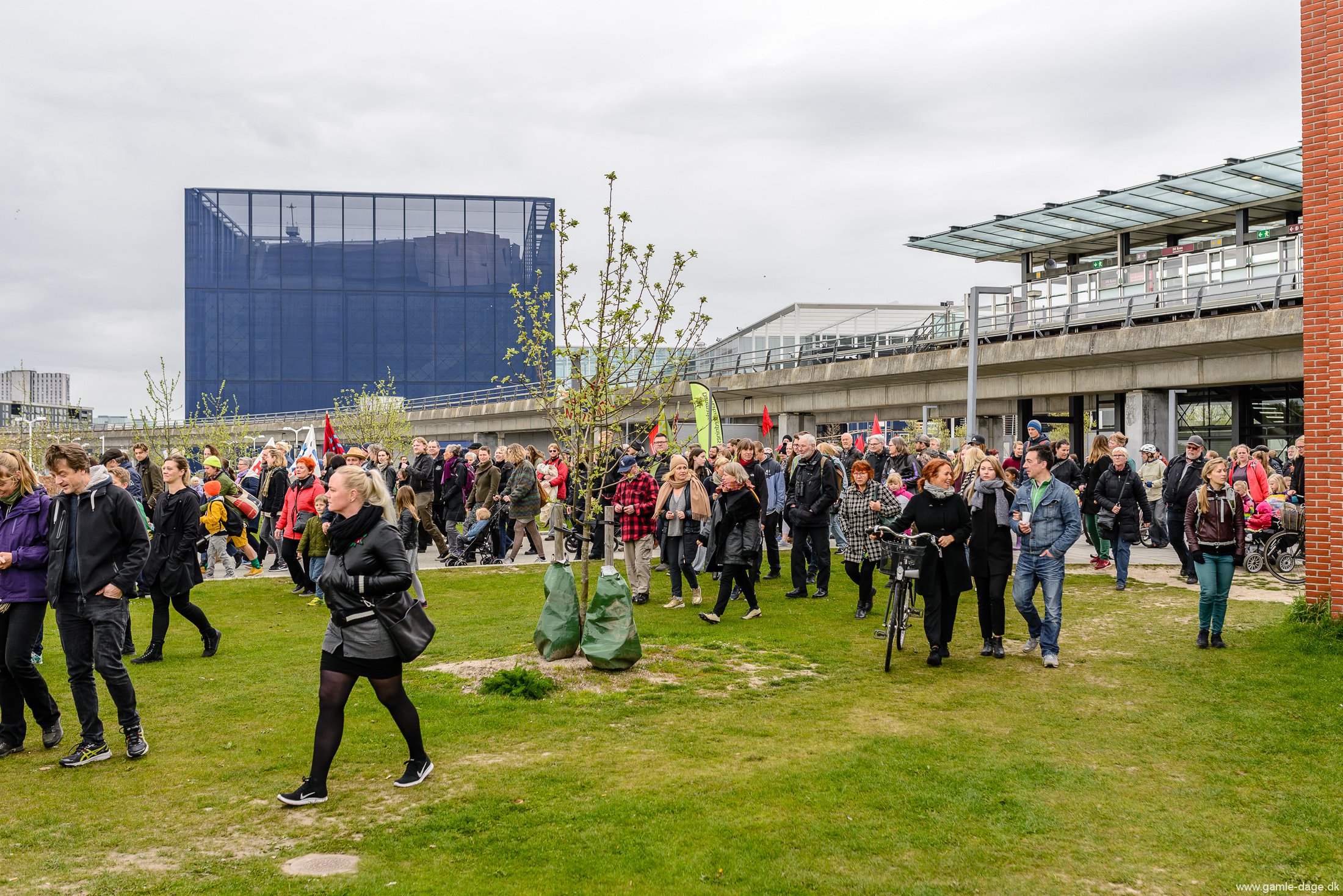 folkering-2-om-amager-faelled-17