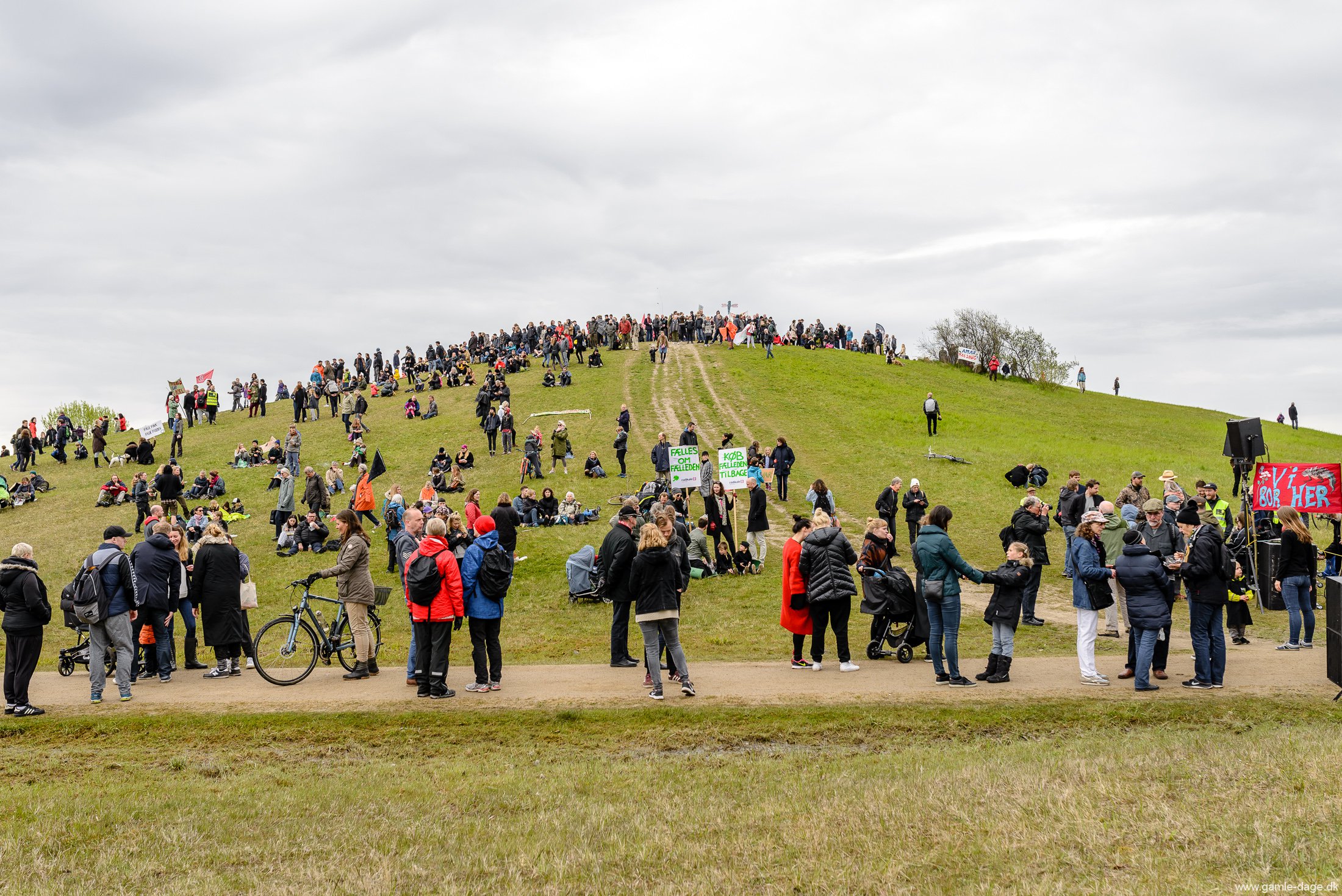 folkering-2-om-amager-faelled-81