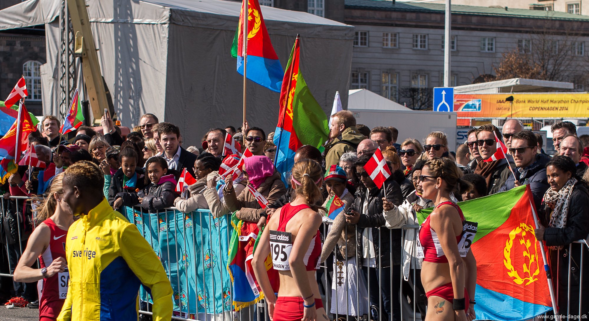 Halvmaraton VM 2014