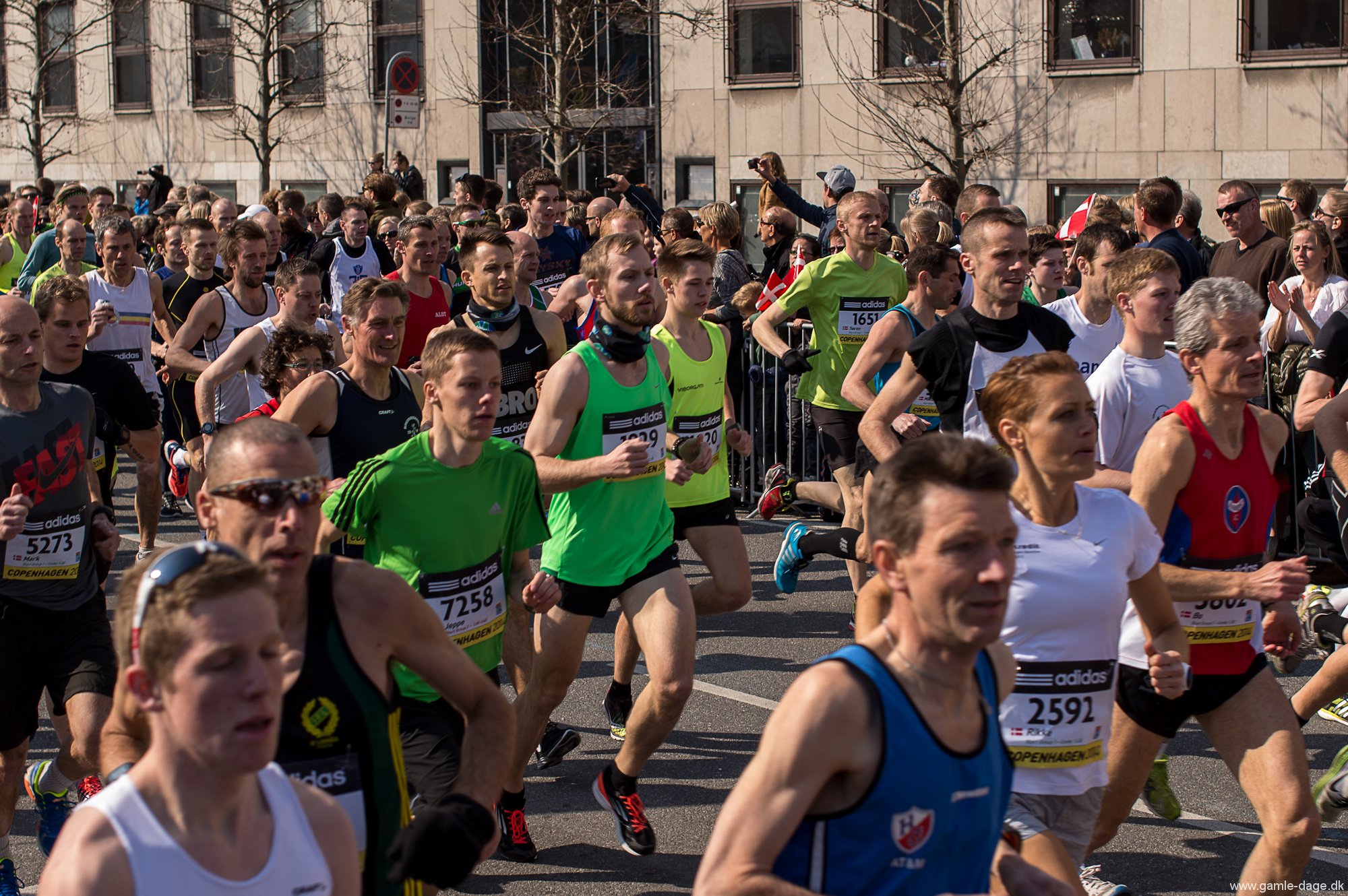 Halvmaraton VM 2014