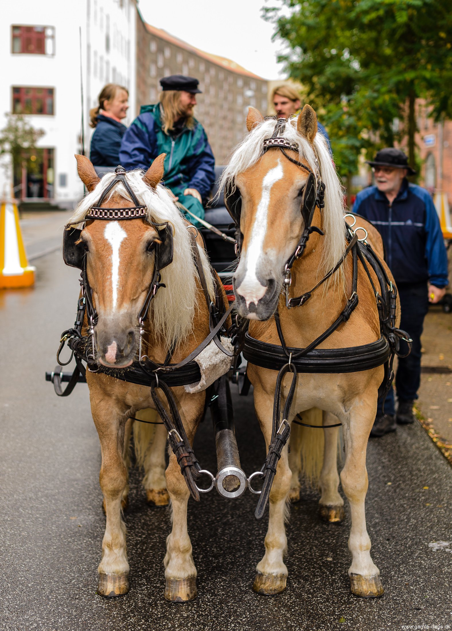 islands-brygges-110-aars-foedselsdag-32