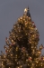 Juletræet på Rådhuspladsen tændes