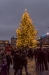 Juletræet på Rådhuspladsen tændes