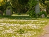 Makro på Kirkegården