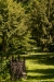 Makro på Kirkegården