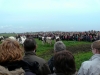 Køerne kommer på græs i Kirke Hyllinge - 2012
