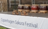 Copenhagen Sakura festival ved Langelinie og Kastellet - 2013