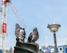 Sankt Patricks dag på Rådhuspladsen og Axeltorv