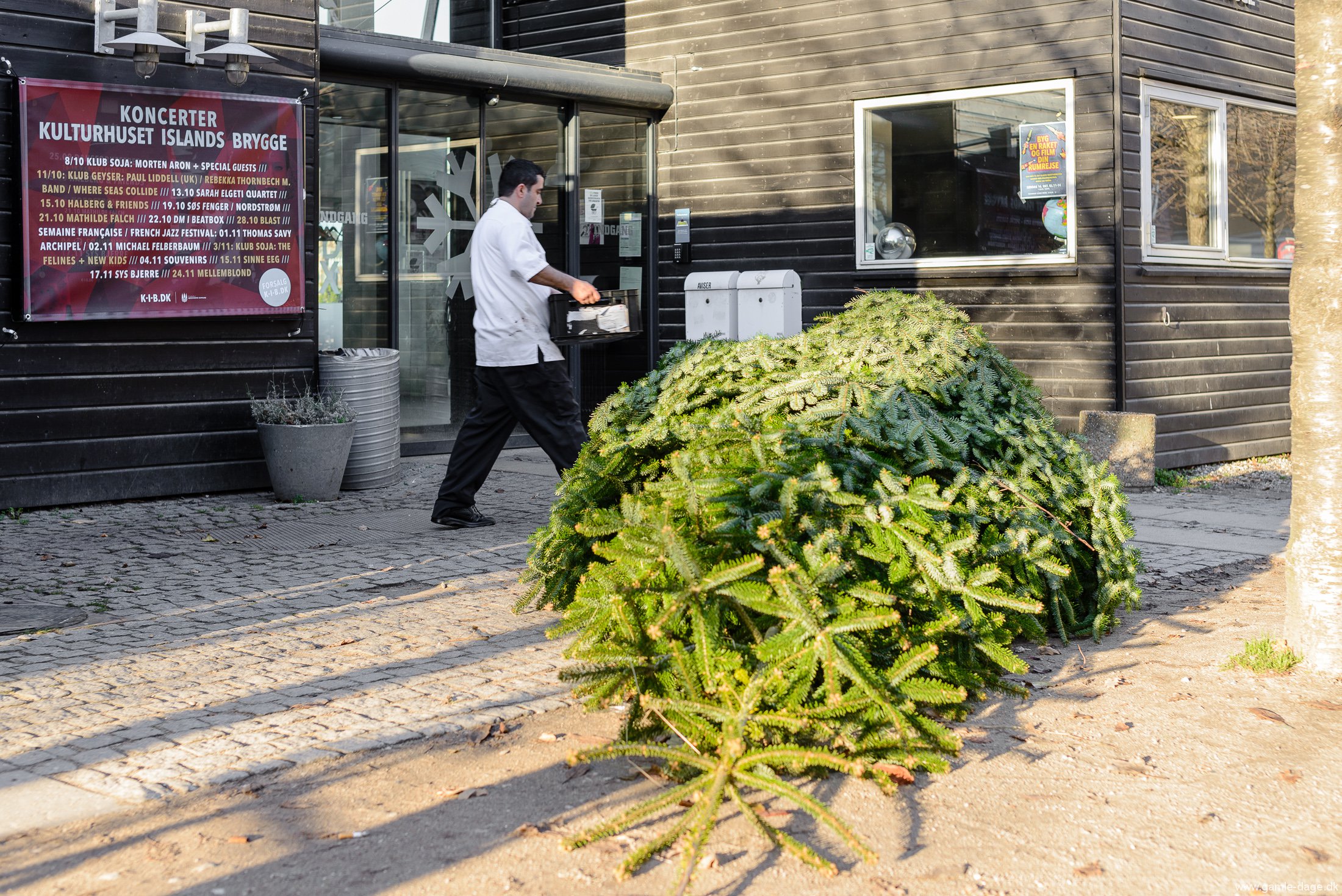 sidste-efteraarsdage-paa-bryggen-2016-26