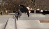 Copenhagen skatepark i Fælledparken