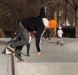 Copenhagen skatepark i Fælledparken