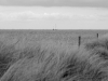 Tur til amagerstrand