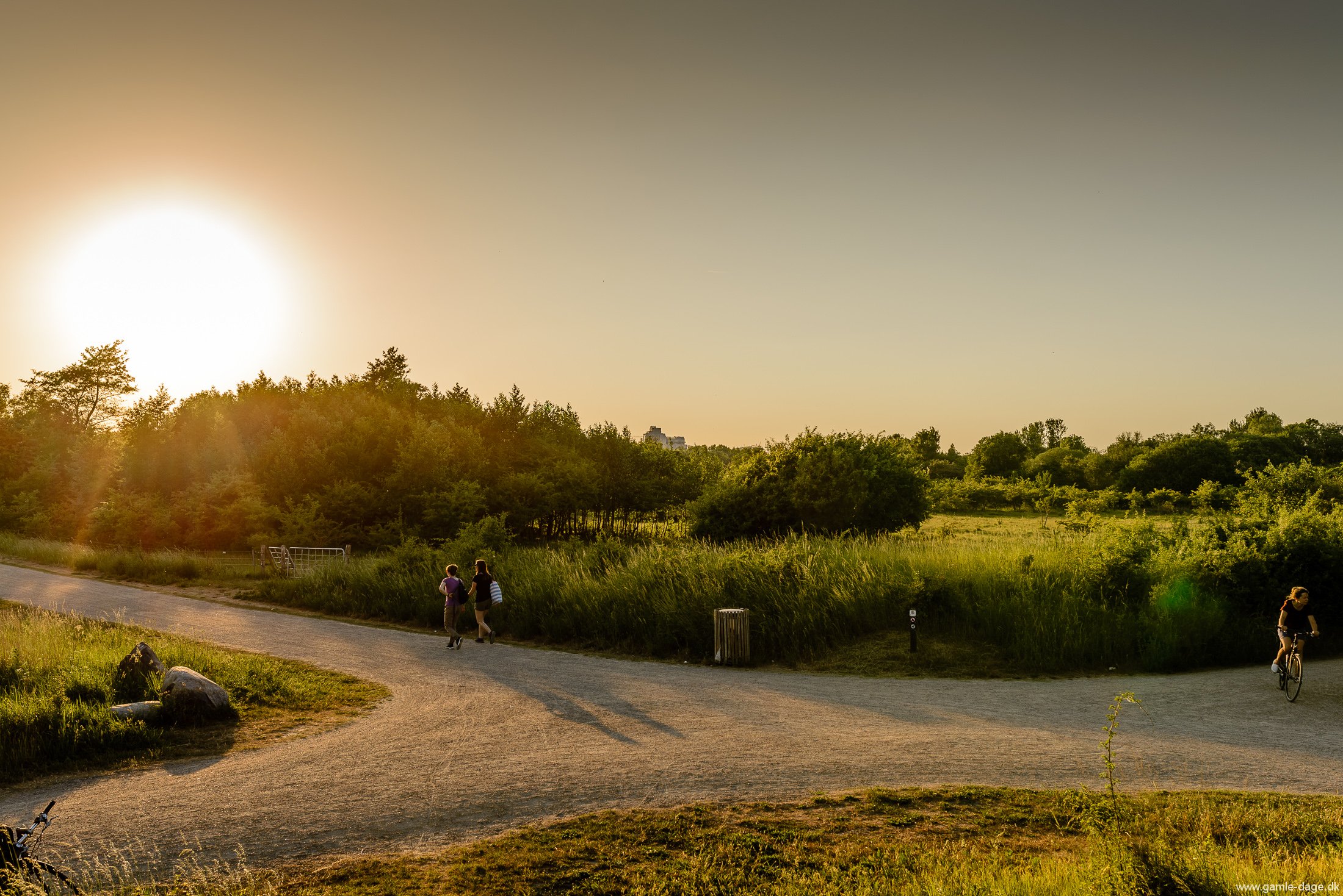 solnedgang-over-amager-faelled-1