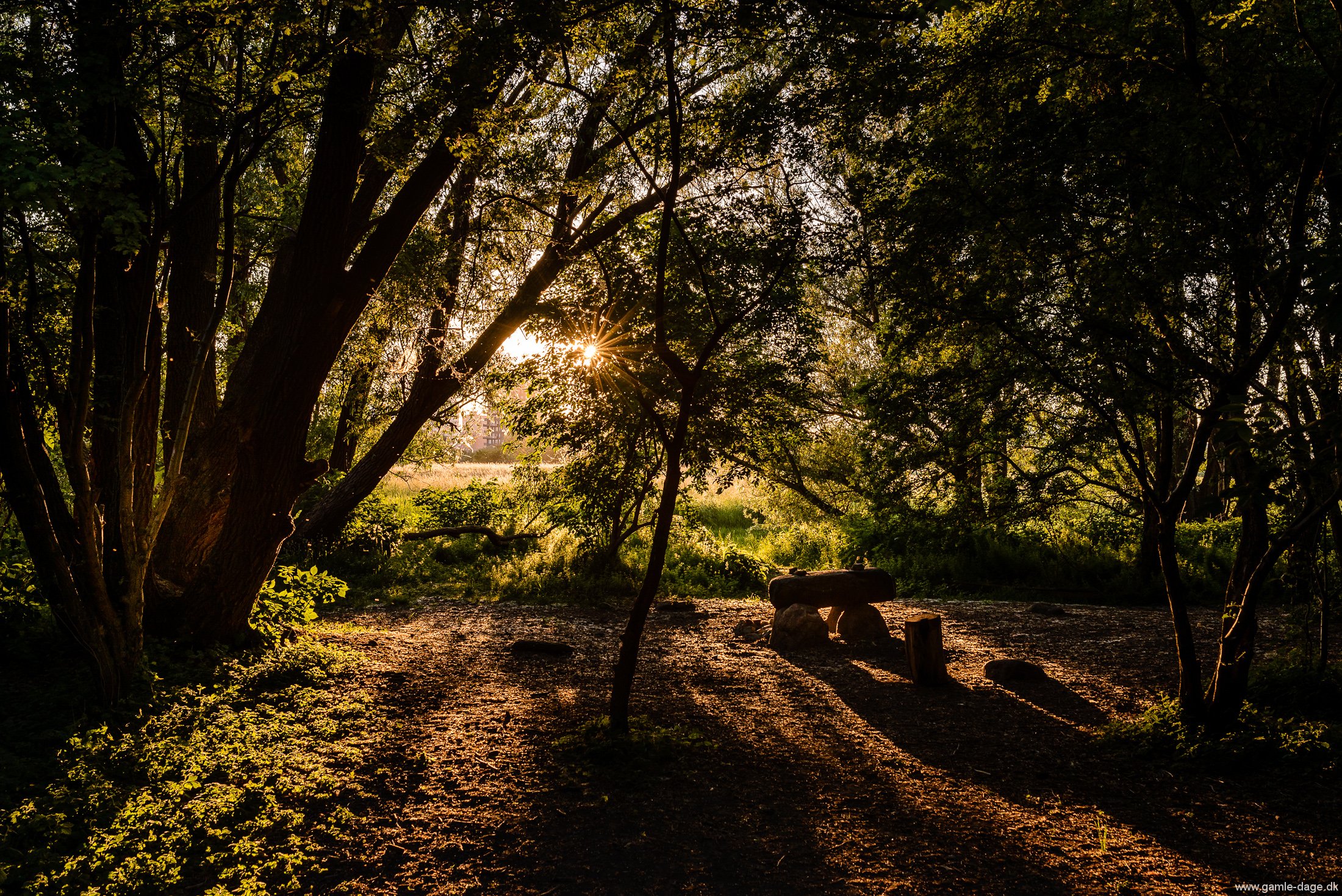 solnedgang-over-amager-faelled-15