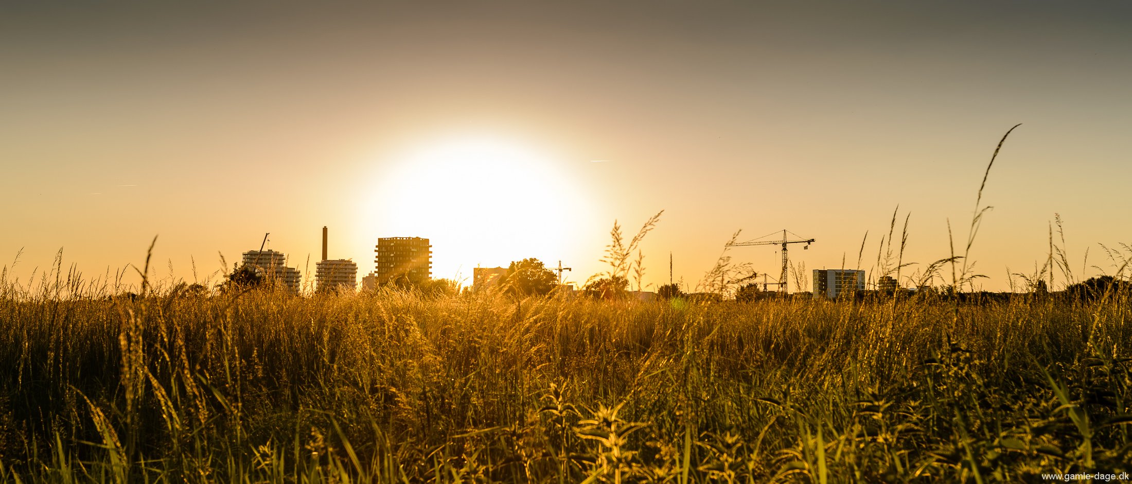 solnedgang-over-amager-faelled-19