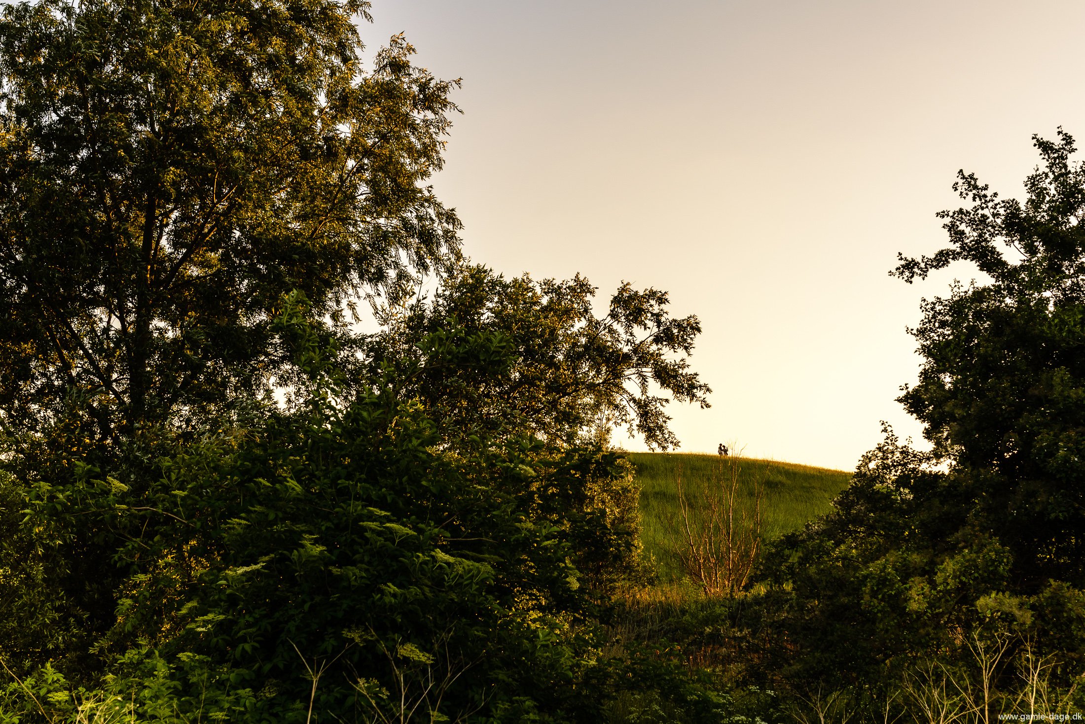 solnedgang-over-amager-faelled-20