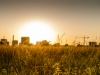 solnedgang-over-amager-faelled-19
