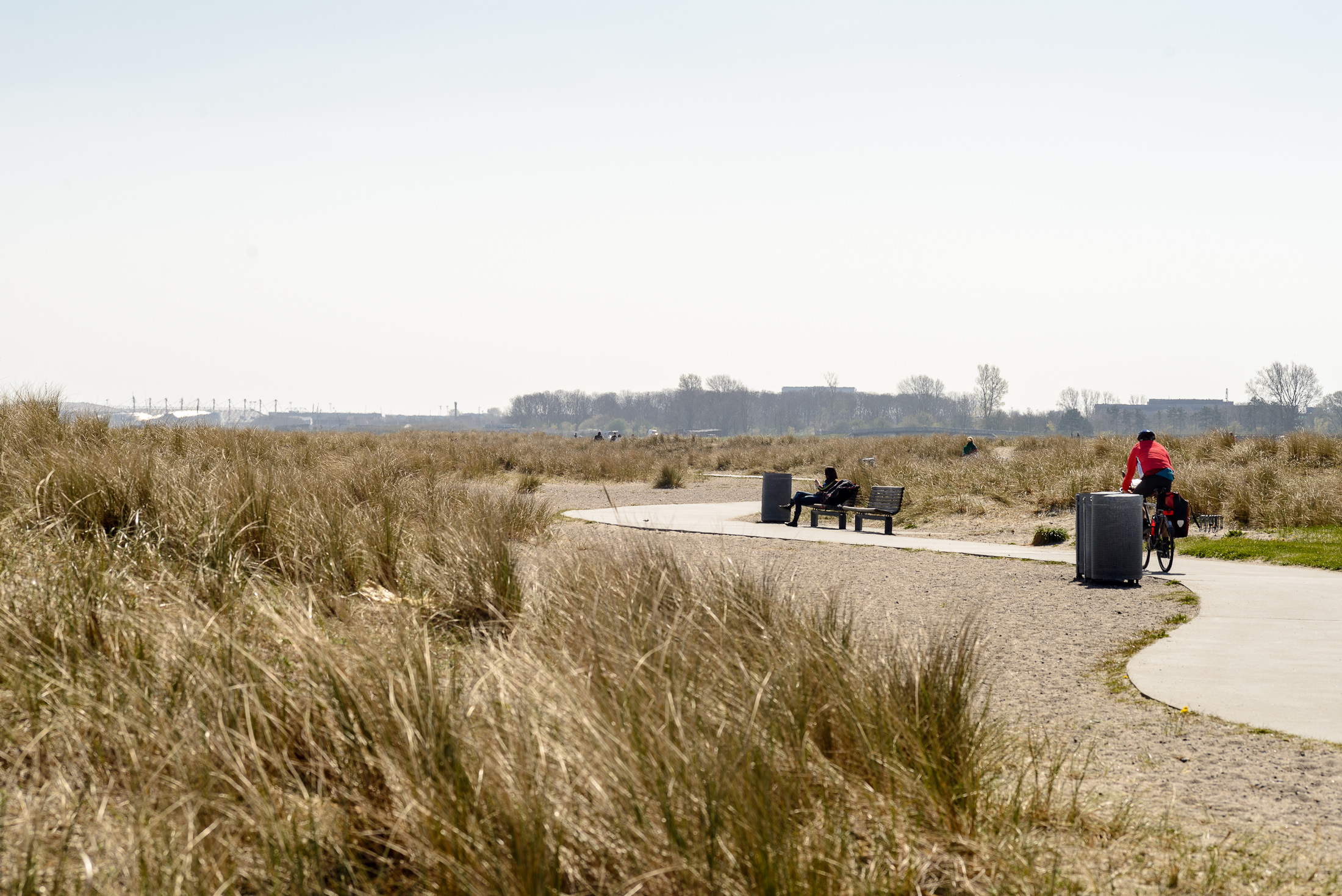 Amagerstrand tur med makro objektiv-10