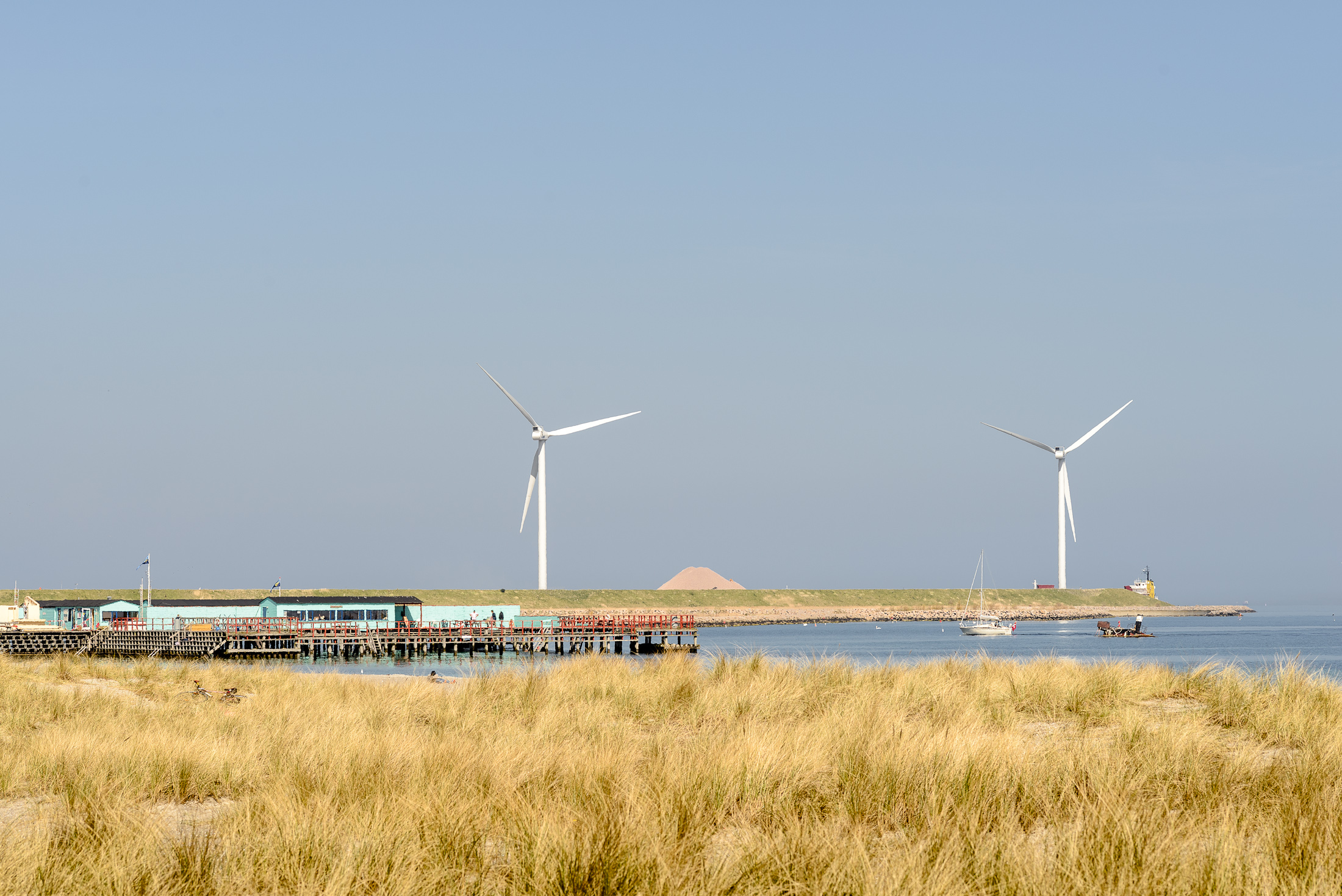 Amagerstrand tur med makro objektiv-17