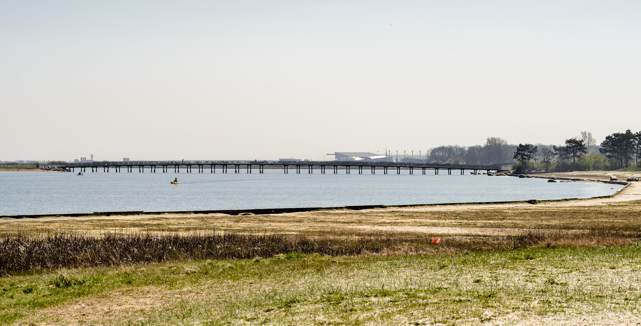 Amagerstrand tur med makro objektiv-2