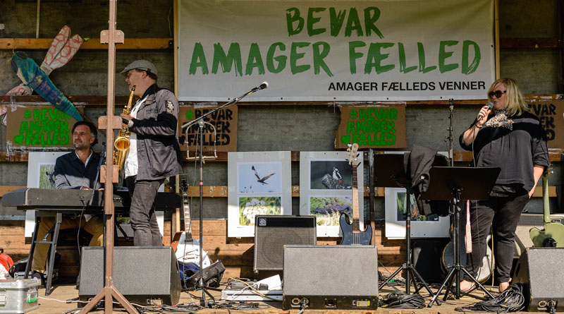 Amager fælled festival på Naturens dag