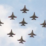Fly på Kløvermarken