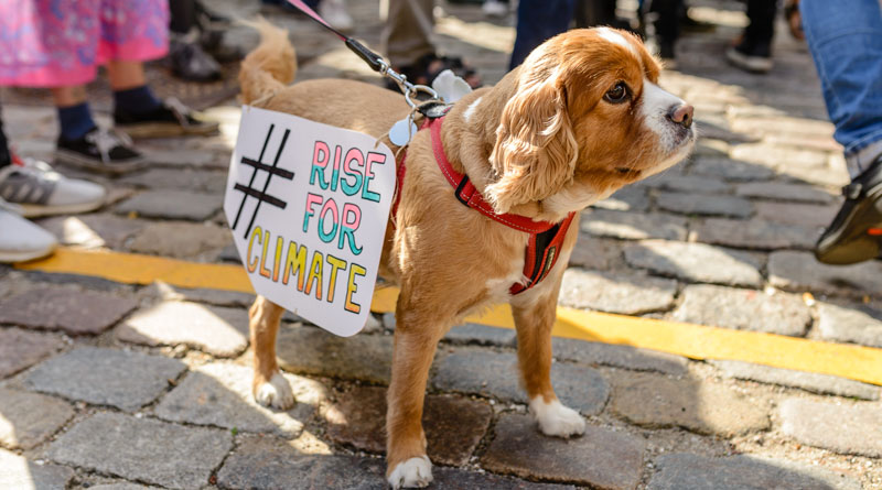 Folkets klimamarch i København-2018