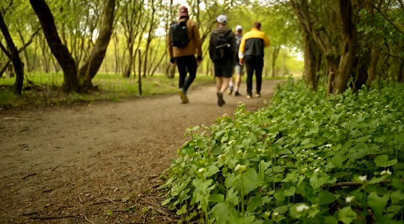 Forårs stemning på Amager fælled 2020