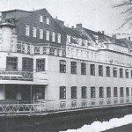 Frikadellens skæbne