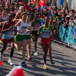 Halvmaraton VM 2014