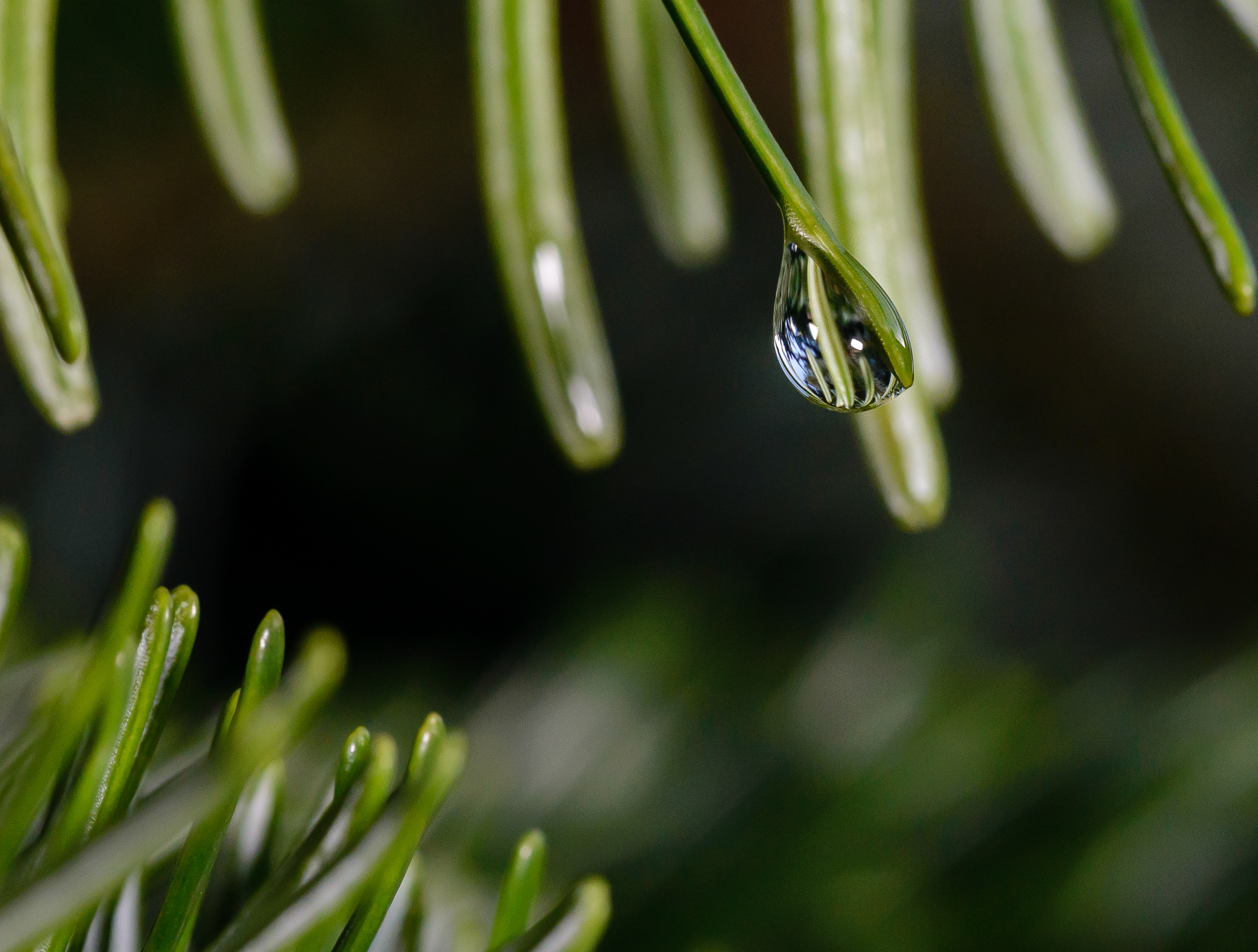 High speed sync macro-5