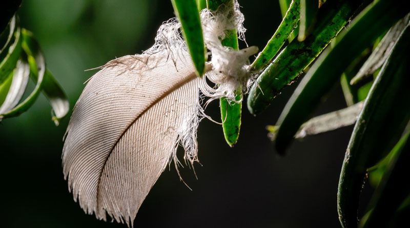 High speed sync macro