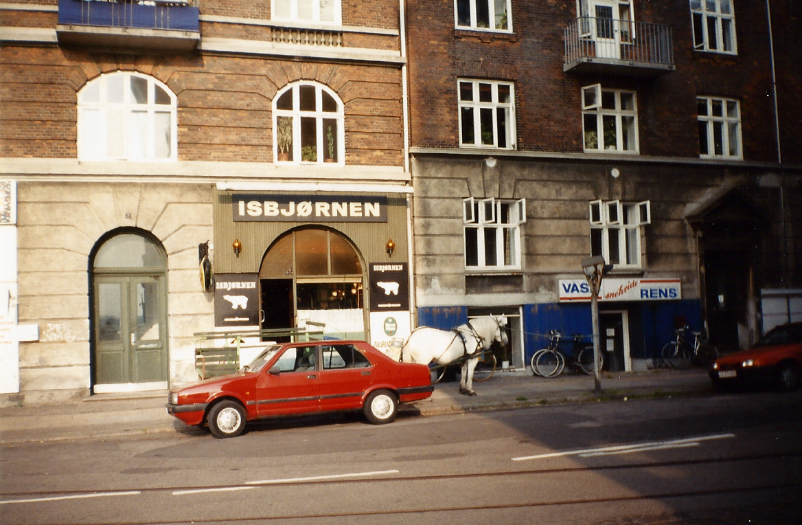 Isbjørnen i Reykjavikgade