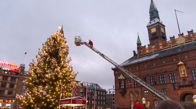 Juletræet på Rådhuspladsen tændes