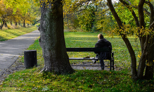 Gåtur fra syddyssen til norddyssen på Christianshavns vold