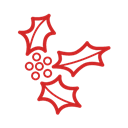 Mistletoe-icon (1)