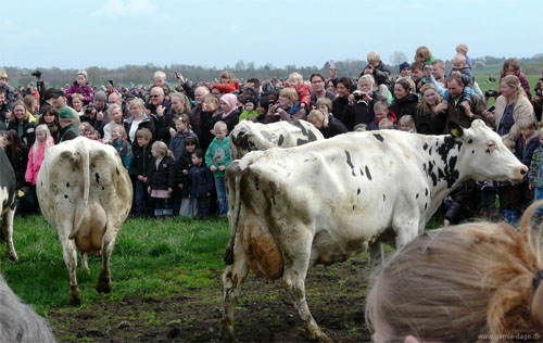 Økodag 2012