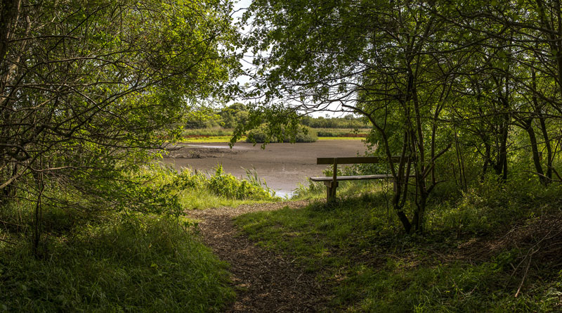 Sensommer panoramaer af Amager fælled