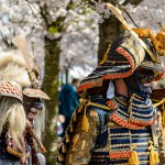 Sakura 2016 ved Langelinie