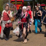 Sakura festival 2014