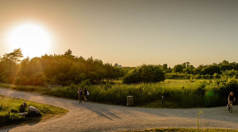 Solnedgang over Amager fælled