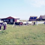 Storlufthavn på Saltholm