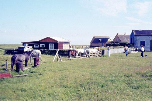 Storlufthavn på Saltholm