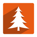 Tree-icon (2)
